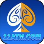 11 atm app