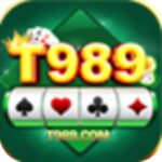 T989 game