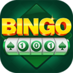 Bingo 101 app